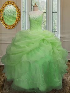 Sleeveless Organza Floor Length Lace Up Quince Ball Gowns in with Embroidery and Pick Ups