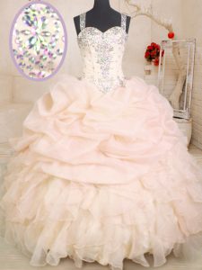 Pink Sleeveless Floor Length Beading and Ruffles and Pick Ups Zipper Quinceanera Gowns