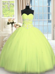 Sleeveless Appliques Lace Up Sweet 16 Quinceanera Dress