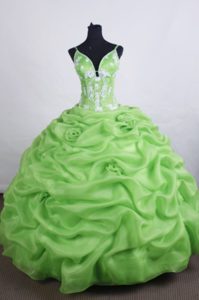 Lovely Ball Gown Quinceanera Real Sample Dresses with Appliques and Pick Ups