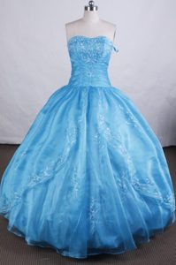 Beautiful Sweetheart Organza Quinceanera Real Sample Dresses with Appliques