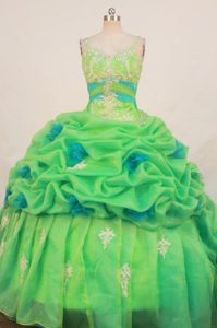 Beaded Straps Quinceanera Real Sample Dresses with Appliques and Pick Ups
