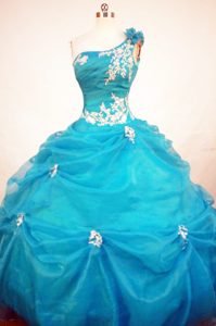 Exclusive Ball Gown One Shoulder Organza Quinceanera Dresses with Appliques