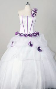 Wonderful One Shoulder Quinceanera Dresses in Organza with Hand Flowers