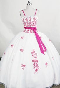 Special Ball Gown Real Sample Quinceanera Dresses with Appliques in Organza