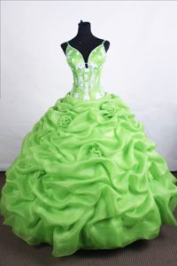 Spring Green Quinceanera Dresses with Pick Ups and Appliques Made in Organza