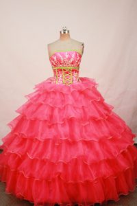 Luxurious Quinceanera Real Sample Dresses with Ruffles in Organza