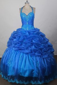 Blue Appliqued and Beaded Sweet Sixteen Quinceanera Dress in Organza