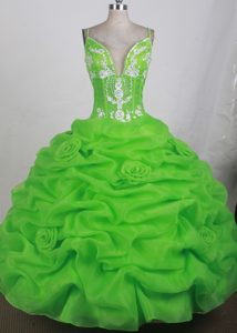 Sweetheart Appliqued Organza Quinceanera Gown Dress in Spring Green