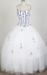 Luxurious Straps Appliqued Real Sample Quince Dresses in Tulle
