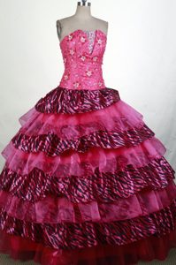 Fitted Hot pink Appliqued and Beaded Sweet Sixteen Quinceanera Dresses