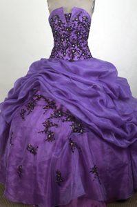 Inexpensive Quinceanera Gown Dresses in Purple with Appliques