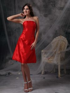 Custom Made Red Column Bridesmaid Dress with Ruching in Taffeta on Sale