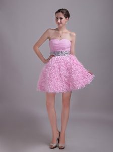 Magnificent Baby Pink Sweetheart Prom Celebrity Dresses for Summer