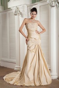 Champagne Strapless Ruched Taffeta Prom Dresses with Appliques