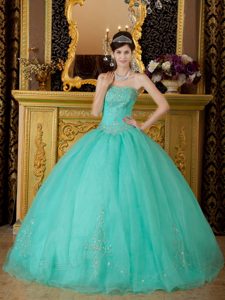 Turquoise Ball Gown Quinceanera Dresses in Organza with Beading