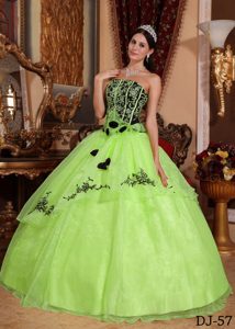 Exquisite Strapless Yellow Green Embroidery Quinceanera Dresses in Organza