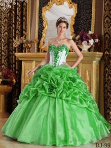 Stylish Spring Green Sweetheart Organza Quinceanera Dresses with Pick Ups