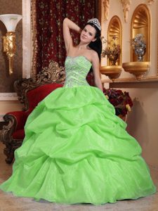 Yellow Green Ball Gown Sweetheart Organza Dress for Quince with Pick Ups