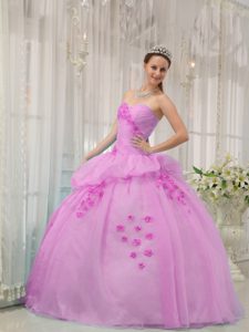 Pink Ball Gown Sweetheart Quinceanera Dresses in Organza with Appliques