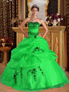 2013 Green Sweetheart Embroidery Dress for Quince in Satin and Organza