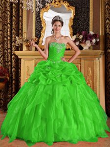 Spring Green Sweetheart Quinceanera Dress with Appliques Made in Organza