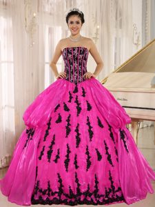 Hot Pink New Style Strapless Organza Dresses for Quince with Embroidery