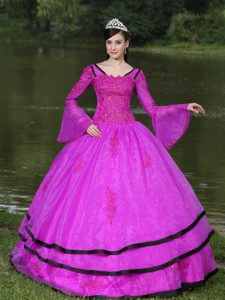 The Most Popular Appliqued Hot Pink Quinceanera Dresses with Long Sleeves
