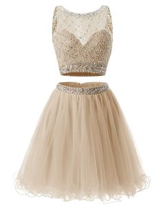 Organza Sweetheart Sleeveless Side Zipper Beading and Belt Dress for Prom in Champagne