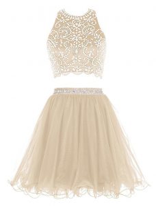 Scoop Champagne Sleeveless Beading Mini Length Prom Evening Gown