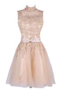 Flare Knee Length Zipper Prom Dress Champagne for Prom and Party with Appliques