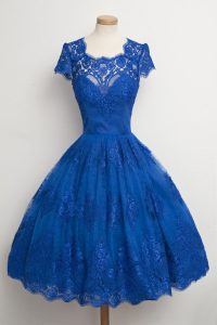 Low Price Lace Knee Length Royal Blue Evening Dress Scalloped Cap Sleeves Zipper