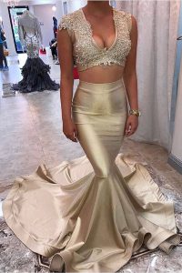 Simple Mermaid Zipper Prom Gown Champagne for Prom with Appliques Court Train