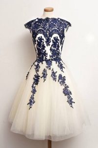 Romantic Blue And White Zipper Scalloped Appliques Dress for Prom Tulle Cap Sleeves