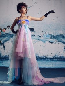 New Style Colorful Long Prom Celebrity Dresses with Straps and Appliques