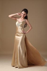 Stylish Column Taffeta Prom Maxi Dresses with in Champagne