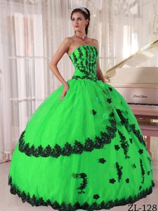 Perfect Ball Gown Strapless Appliqued Quinceanera Dresses in Organza Best Seller