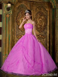 2013 Rose Pink Ball Gown Quinceanera Dress with Appliques in Organza