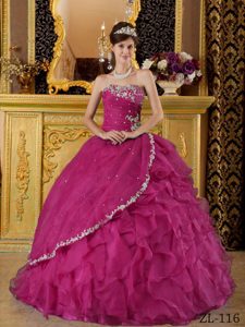 Fuchsia Ball Gown Strapless Organza Quinceanera Dress with Appliques and Ruffles
