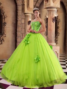 Spring Green Quinceanera Dress with Hand Flowers in Satin and Tulle