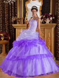 Pretty One Shoulder Organza Taffeta Quinceanera Gowns with Appliques