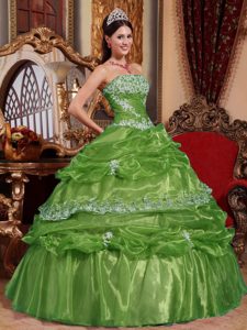 Pretty Ball Gown Strapless Sweet Sixteen Quinceanera Dress in Olive Green
