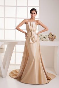 Stylish Champagne Ruching Mother Dress with Bowknot and Watteau Train