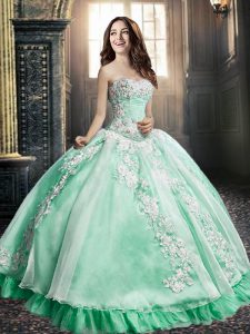 Apple Green Ball Gowns Appliques and Embroidery Quinceanera Dresses Lace Up Organza Sleeveless Floor Length