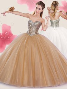 Pretty Champagne Sleeveless Floor Length Sequins Lace Up Quince Ball Gowns