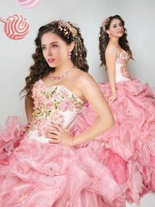 Sweetheart Sleeveless Organza 15th Birthday Dress Appliques and Ruffles and Pick Ups and Hand Made Flower Lace Up