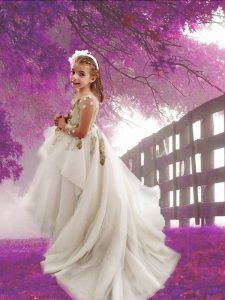 Scoop White A-line Appliques Toddler Flower Girl Dress Zipper Tulle Long Sleeves With Train