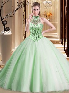 With Train Apple Green Sweet 16 Quinceanera Dress Halter Top Sleeveless Brush Train Lace Up